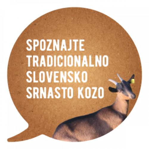 Tradicionalna slovenska srnasta koza