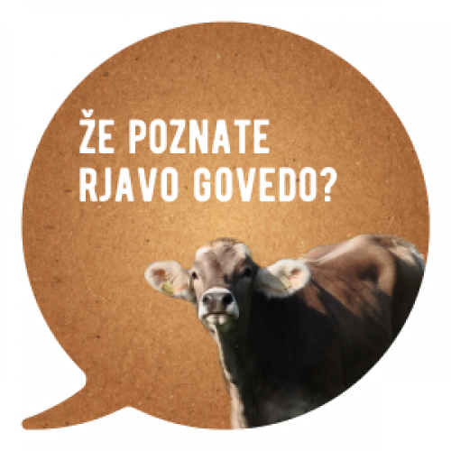 Rjavo slovensko govedo